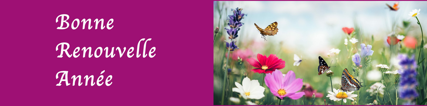 2025-12 Fin d'année